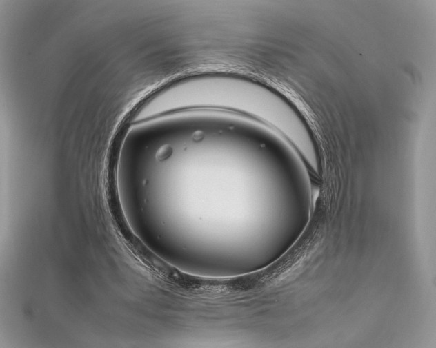 X0000112010391200908031311