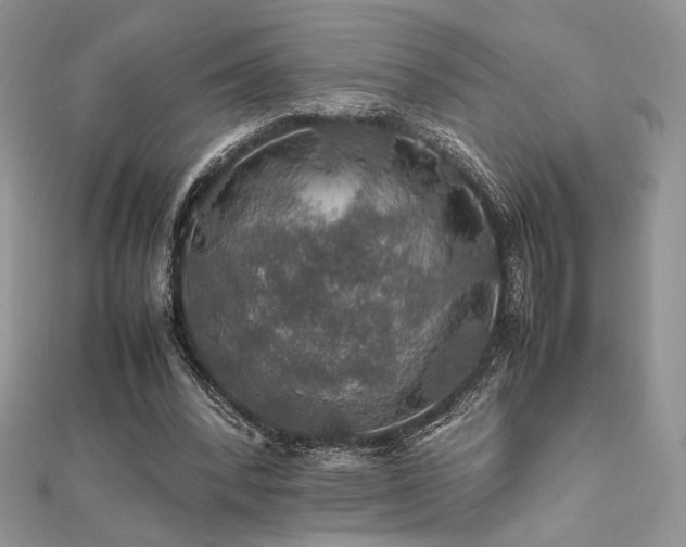 X0000112010392200908031311