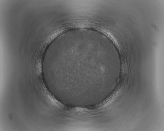 X0000112010393200908031311