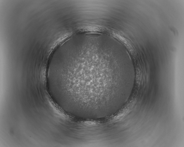 X0000112010394200908031311