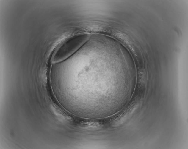 X0000112010395200908031311