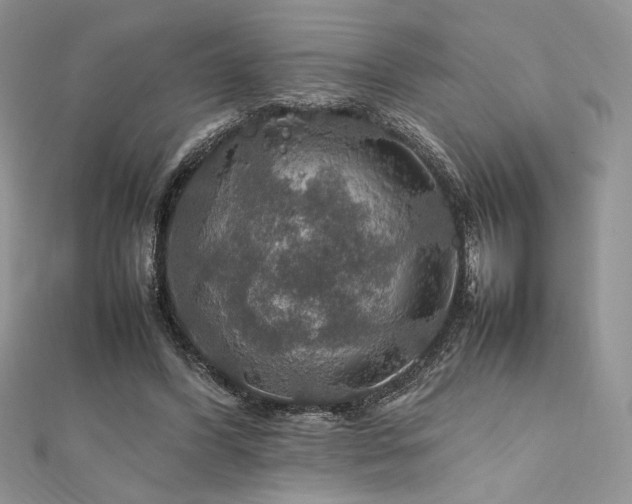 X0000112010396200908031311