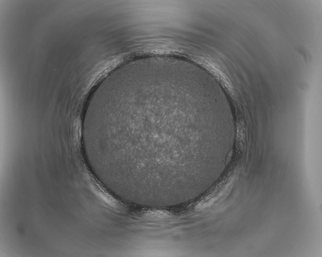 X0000112010397200908031311