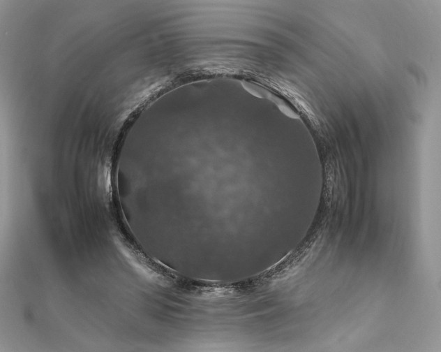 X0000112010398200908031311