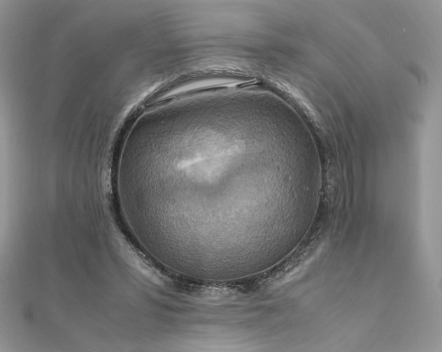 X0000112010399200908031311