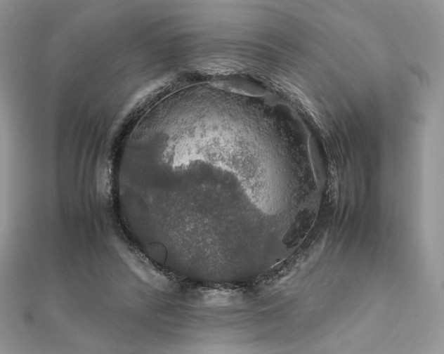 X0000112010400200908031311