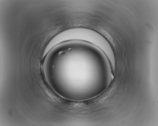 X0000112010401200908031311