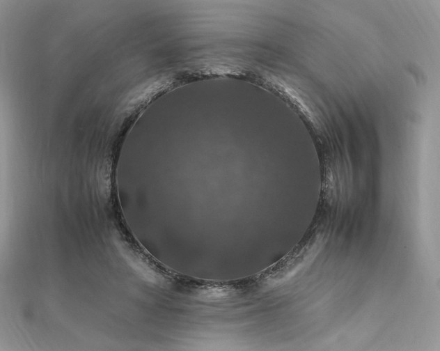 X0000112010402200908031311