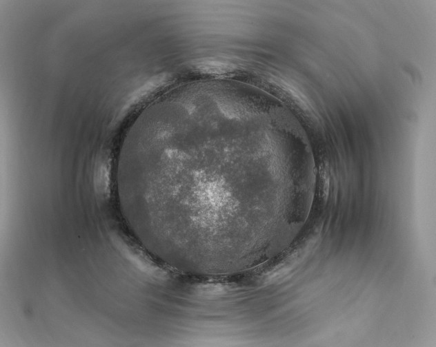 X0000112010404200908031311