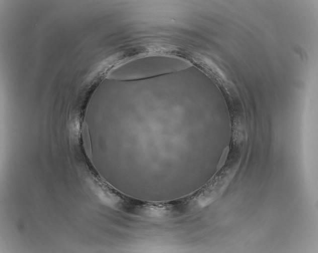 X0000112010405200908031311