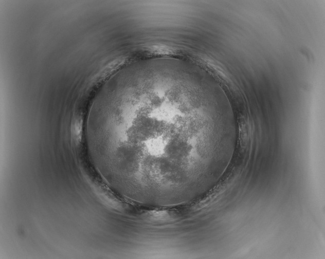 X0000112010406200908031311