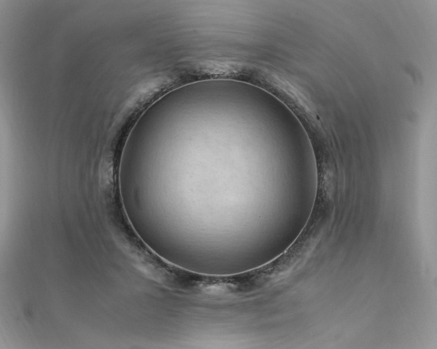 X0000112010407200908031311