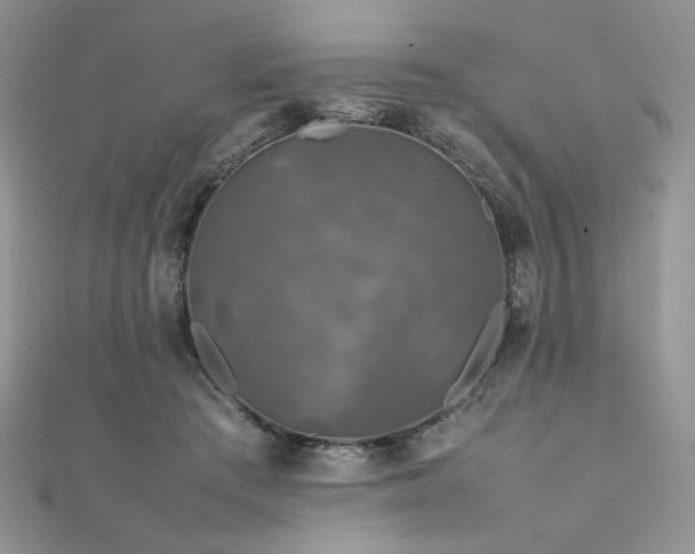 X0000112010409200908031311