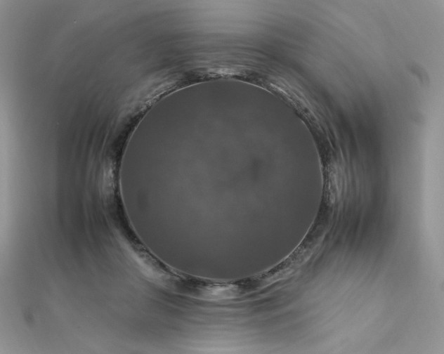 X0000112010410200908031311