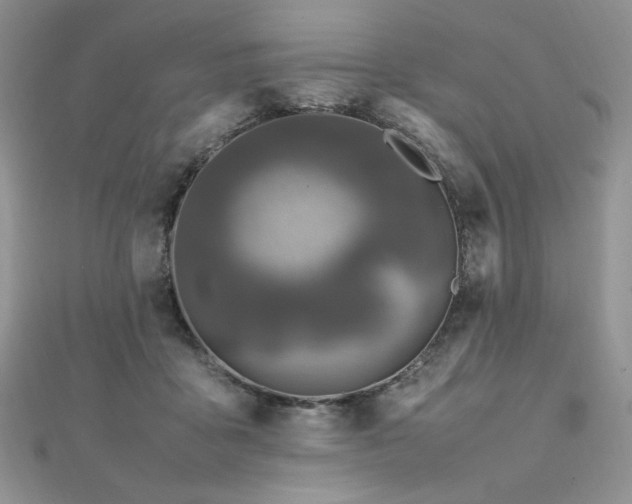 X0000112010411200908031311