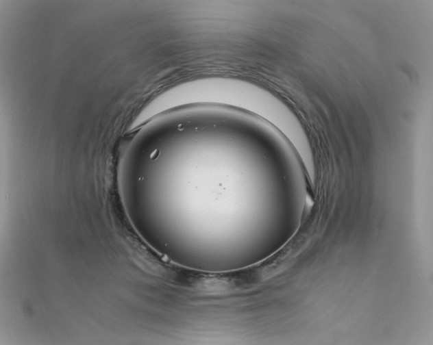 X0000112010413200908031311