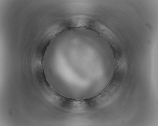 X0000112010415200908031311