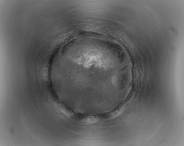 X0000112010416200908031311