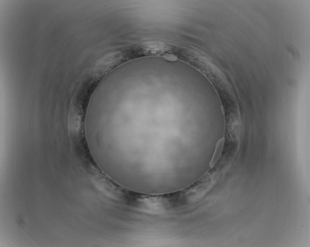 X0000112010417200908031311