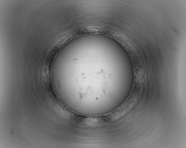 X0000112010418200908031311