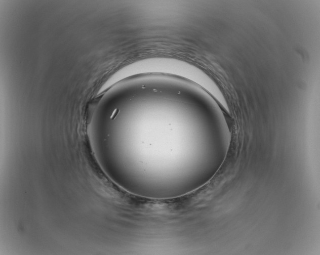 X0000112010419200908031311