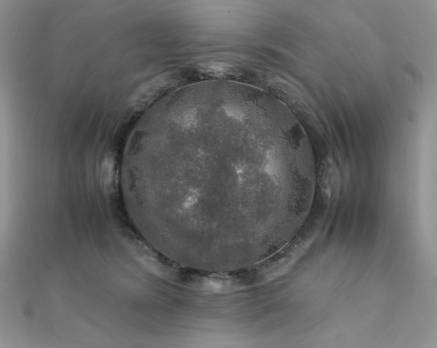 X0000112010420200908031311