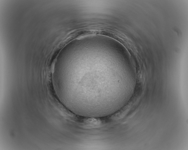 X0000112010421200908031311