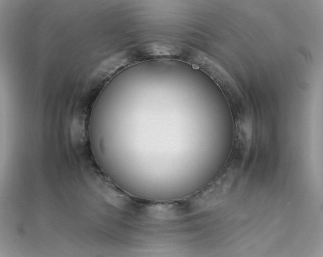 X0000112010422200908031311