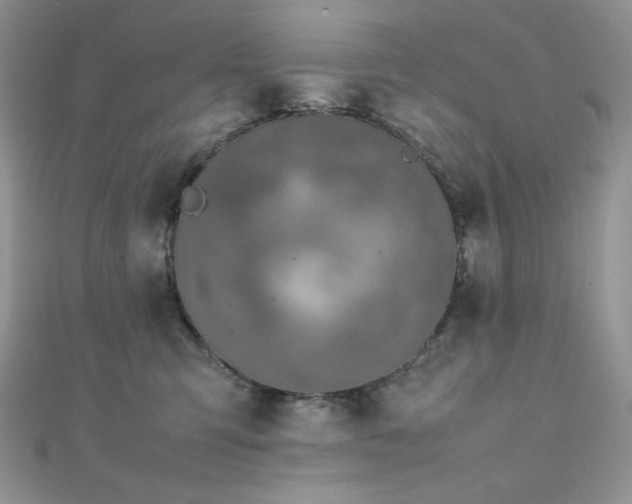 X0000112010423200908031311