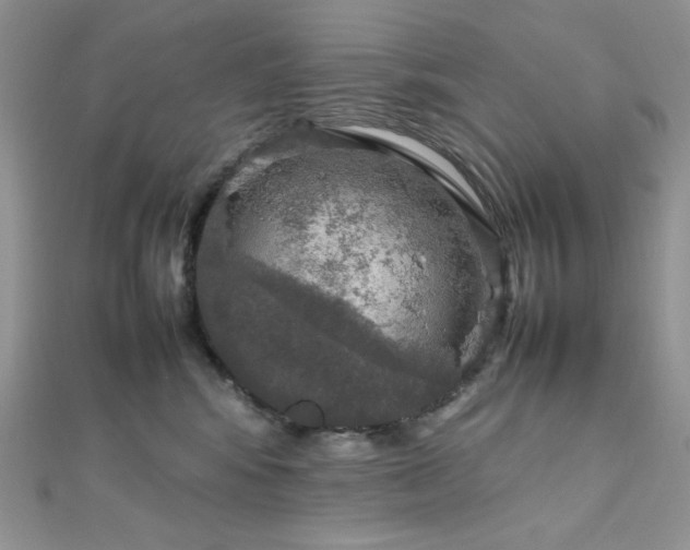 X0000112010424200908031310