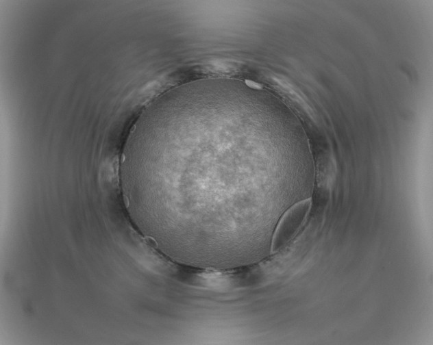 X0000112010425200908031310