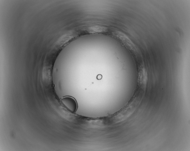 X0000112010426200908031310