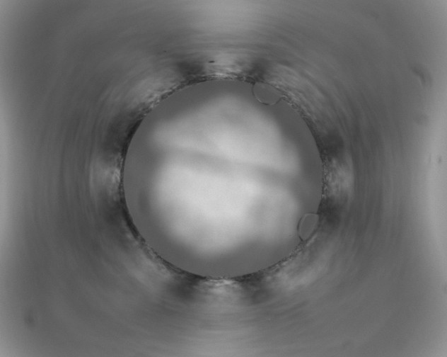 X0000112010427200908031310