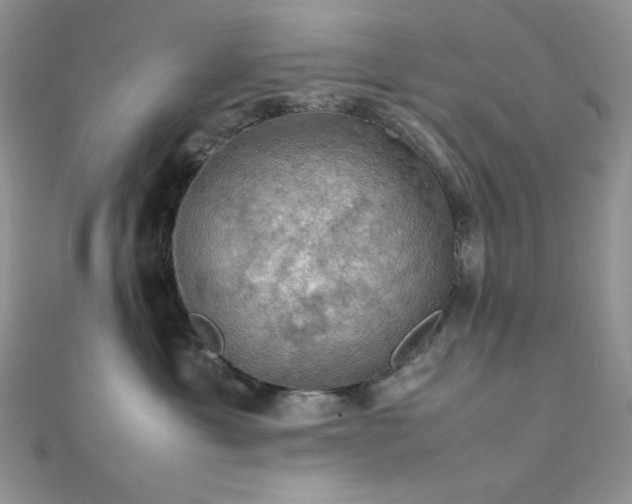 X0000112010429200908031310