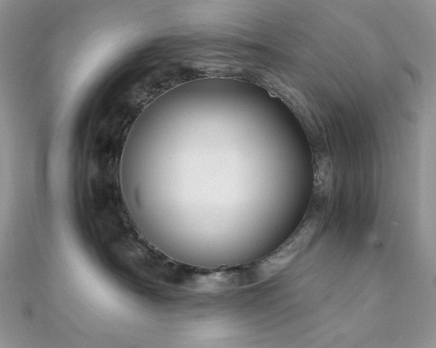 X0000112010430200908031310