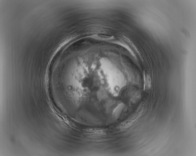 X0000112010435200908031310