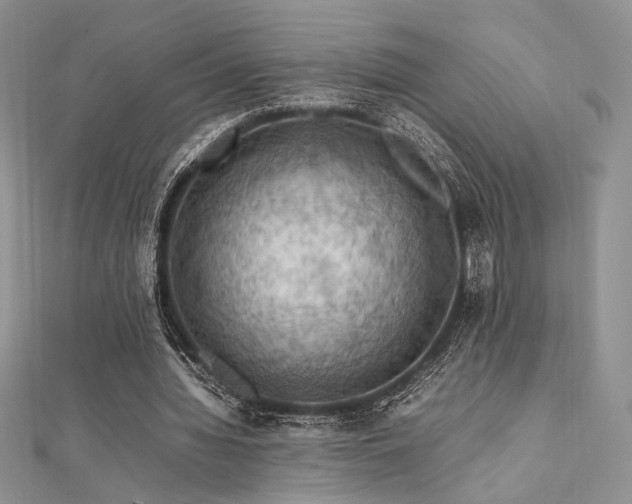 X0000112010436200908031310