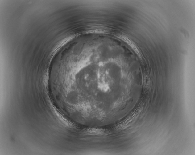 X0000112010437200908031310