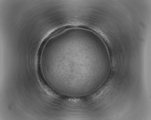 X0000112010440200908031310