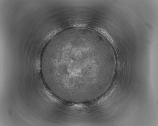 X0000112010441200908031310