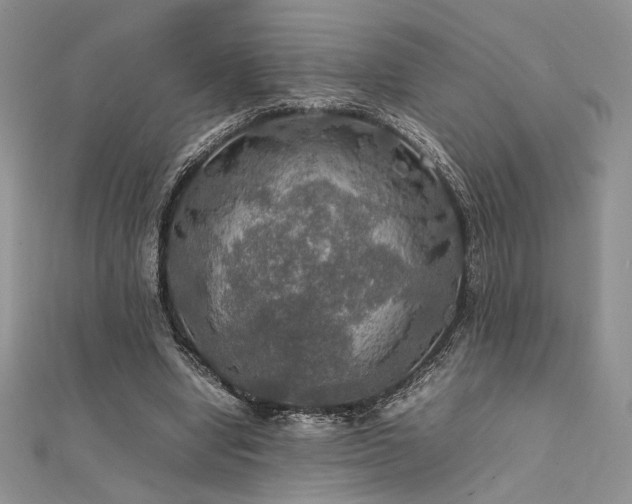 X0000112010442200908031310