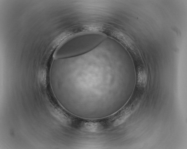 X0000112010444200908031310