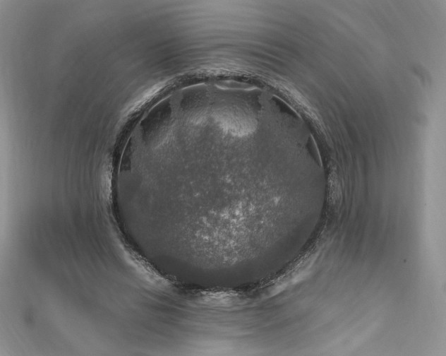 X0000112010446200908031310