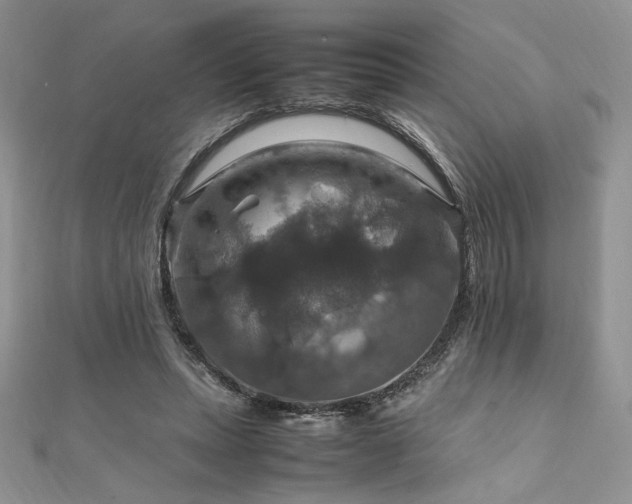 X0000112010447200908031310