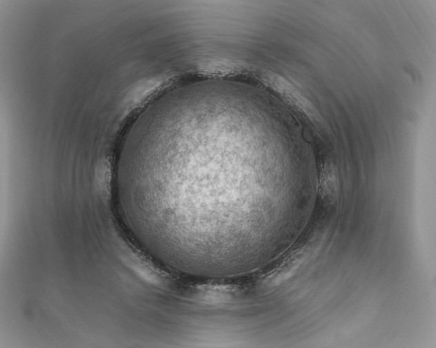 X0000112010448200908031310