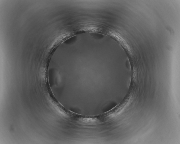 X0000112010449200908031310