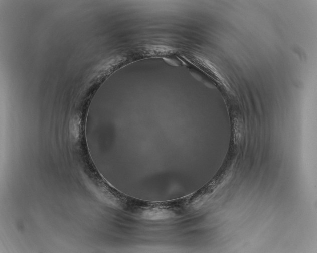 X0000112010451200908031310