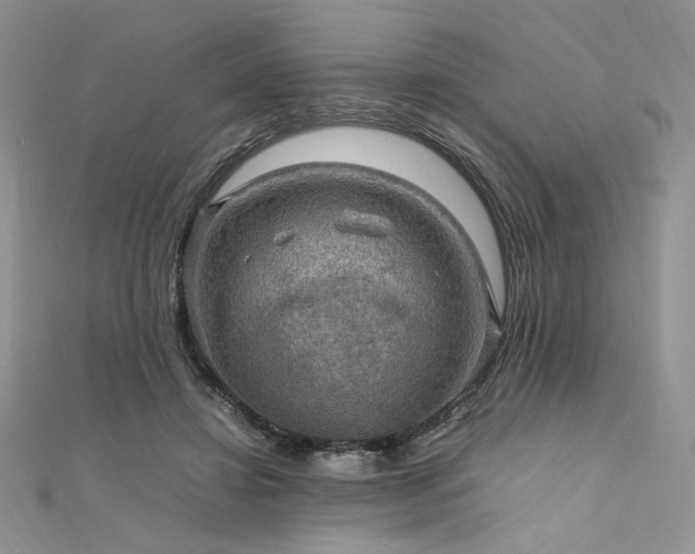 X0000112010452200908031310