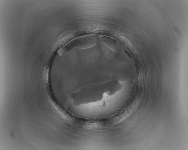 X0000112010454200908031310