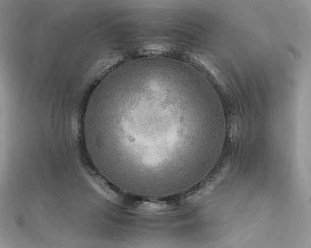 X0000112010455200908031310